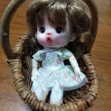 커스텀 인형 오비츠 11
