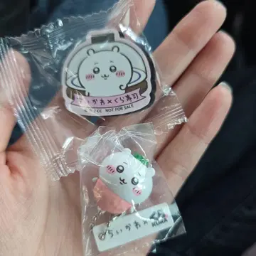 치이카와 쿠라스시 치이카와 피규어 마그넷 카부토무시