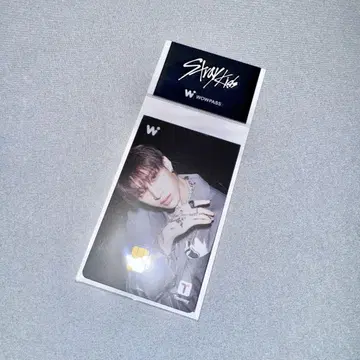 WOWPASS 방찬 straykids 스키즈