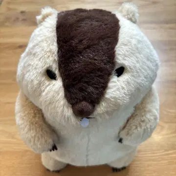 마모트의 모토토 하마모토 JB 28cm