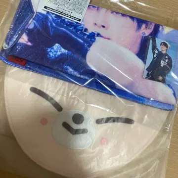 straykids 스키즈 아이엔 부채 케이스 타월 트레이딩 카드 세트