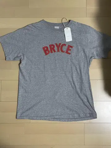 ORDINARY FITS PRINT BRYCE 티셔츠 L 사이즈 새상품