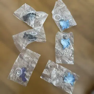 바다의 비에 떠있는 메지루시 액세서리