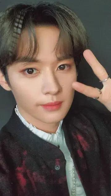 StrayKids THE SOUND LeeKnow 트레이딩 카드 C/셀카