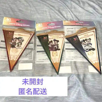 디즈니 호텔 40주년 가랜드 & 리조트 라인 대지