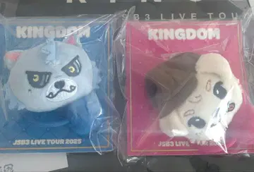 KINGDOM LIVE TOUR 2개 세트 록키 루브 헤어 밴드