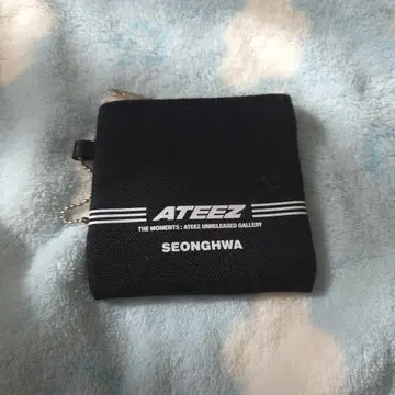 송화 코인 케이스