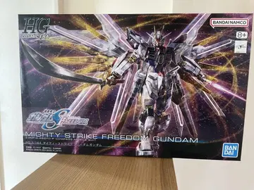 HG 1/144 마이티 스트라이크 프리덤 건담 미조립