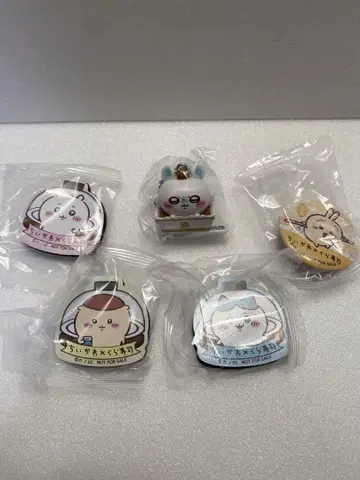 치이카와 쿠라스시 콜라보