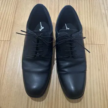 Mizuno 비즈니스 슈즈 26.0cm 블랙