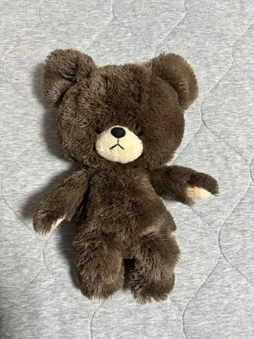 곰의 학교 봉제 인형