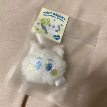 NCT DREAM 팬 라이트 인형 키링 론준