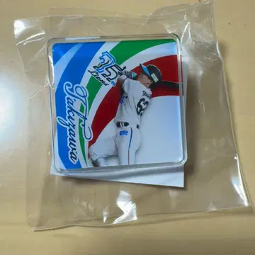 사이타마 세이부 라이온스 75주년 시리즈 아크릴 핑 배치 타키자와 나츠오