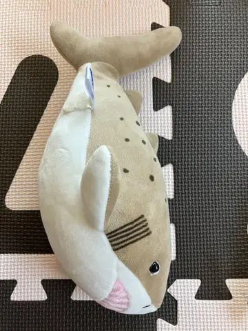 상어 봉제 인형 시로와니