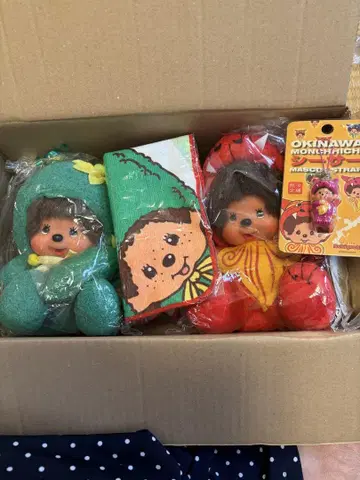 오키나와 한정판 몬치치