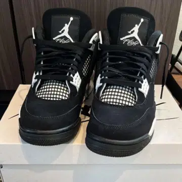 Air Jordan 4 화이트 썬더 27cm