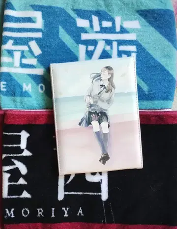 케야키자카46 모리야 아카네 머플러 타월 2장 거울
