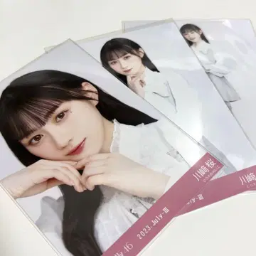 노기자카46 카와사키 사쿠라 브로마이드 컴프 리본