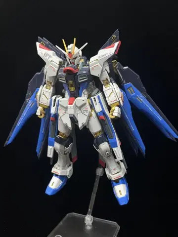 RG 스트라이크 프리덤 건담