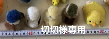 작은 새 봉제 인형 5개 세트