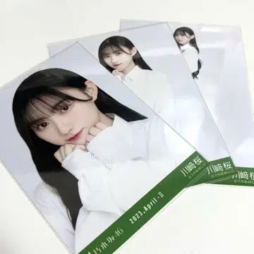 노기자카46 카와사키 사쿠라 2023년 브로마이드 컴프