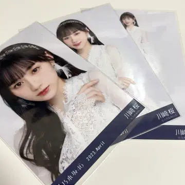 노기자카46 카와사키 벚꽃 브로마이드 컴프 세트