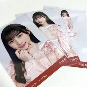노기자카46 카와사키 사쿠라 2023년 브로마이드 컴플리트 세트