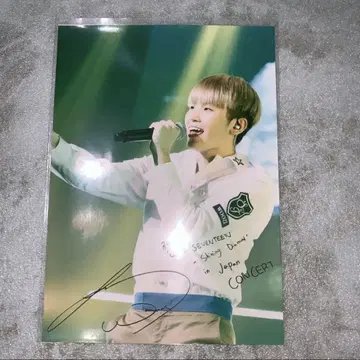 로손 프린트 우지 세븐틴