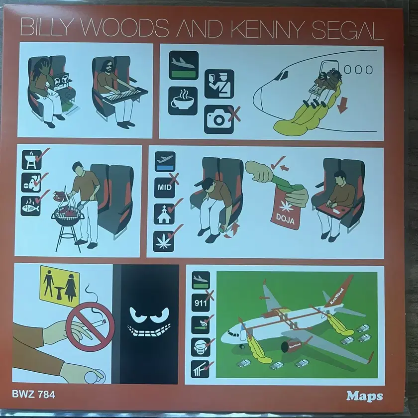 BILLLIE | 빌리 billy woods & Kenny Segal - maps LP on