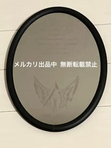THE ALFEE 메시지 거울