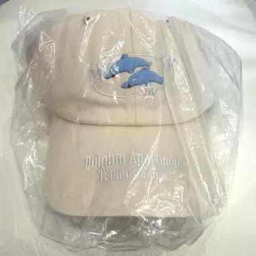 아이묭 도르핀 아파트 캡