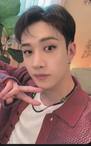 StrayKids FC3기 BangChan 트레이딩 카드 뒷면 브라운