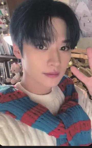 StrayKids FC3기 LeeKnow 트레이딩 카드 뒷면 브라운