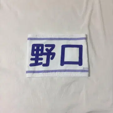 노구치 이오리 타월 5주년