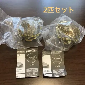 생물대도감 어드밴스 거북이 02 미시시피 아카미가메
