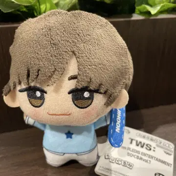 지훈 TWS From PLEDIS ENTERTAINMENT SD 인형