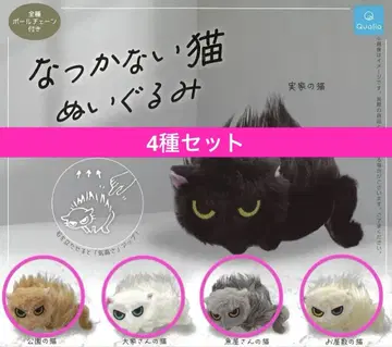 부드러운 촉감의 고양이 4종 세트