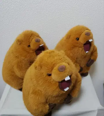 마모트 음성 봉제 인형 새상품 택 포함 3개 세트