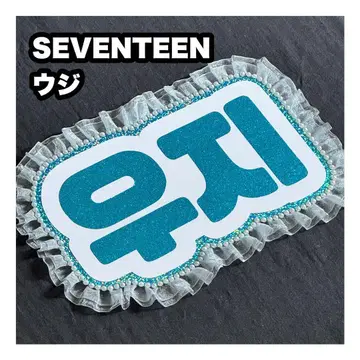 우지 SEVENTEEN 세부치 네임 보드 부채 문자 네무보