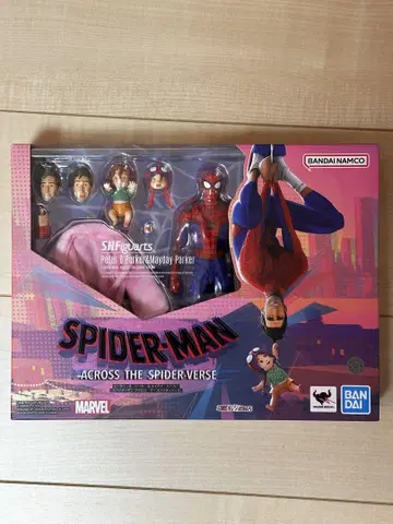 S.H.Figuarts 피터 B 후드티