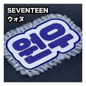 원우 SEVENTEEN 세부치 네임보드 부채 문자 네무보