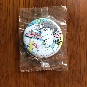 하이큐 포트레이트 캔뱃지 가챠가챠 오이카와 토오루