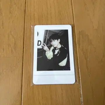 베키온 시그리 폴라로이드