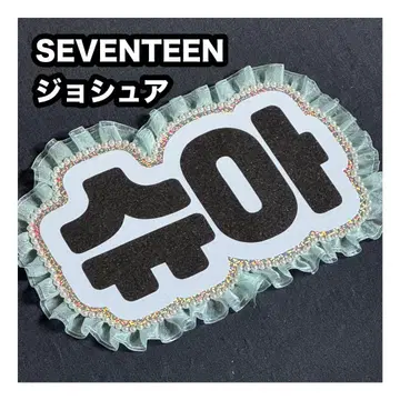 조슈아 SEVENTEEN 세부치 네임 보드 부채 문자 네무보