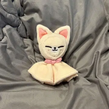 skzoo foxi.ny 백 참
