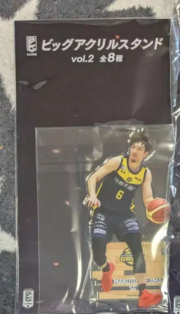 B.LEAGUE 아크릴 스탠드 히에지마 마코토 gigo