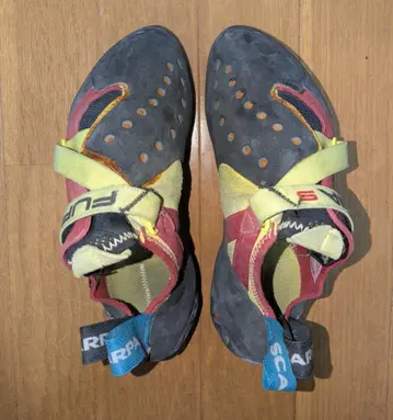 SCARPA FURIA S 클라이밍 신발 EU40