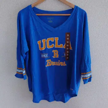 Champion UCLA Bruins 5부 소매 티셔츠 XL 파랑
