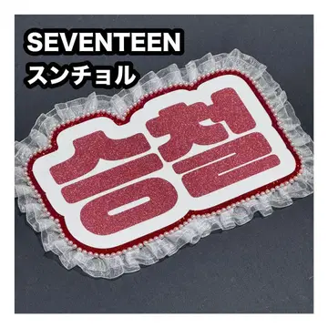 승철 에스크 SEVENTEEN 네임보드 부채 문자 네무보