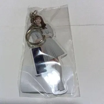 노기자카46 스가와라 사츠키 찬스는 평등 개별 전신 아크릴 키링